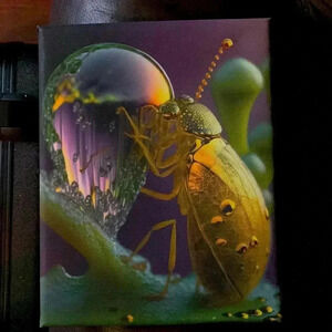 Canvas art, colorful